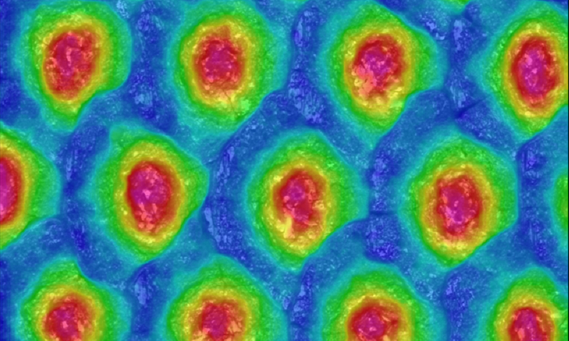 Rasterwalzenmessung nach der Reinigung