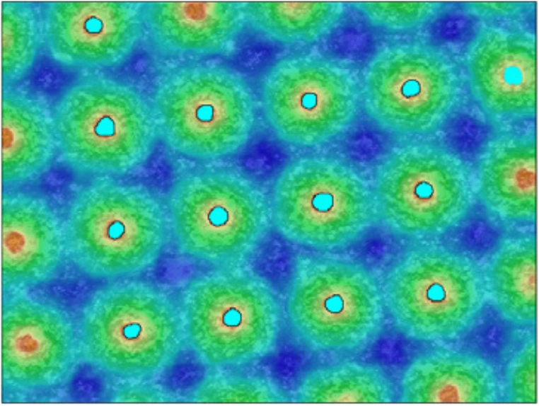Analyse von Elastomeren und Buchdruckplatten